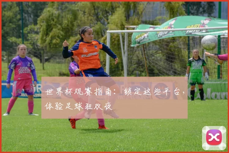 世界杯观赛指南：锁定这些平台，体验足球狂欢夜