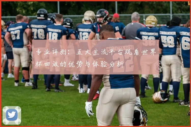 专业评测：五大主流平台观看世界杯回放的优势与体验分析