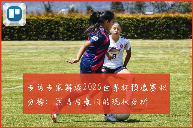 专访专家解读2026世界杯预选赛积分榜:黑马与豪门的现状分析