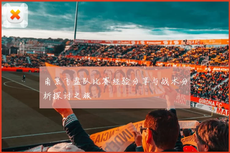 南京飞盘队比赛经验分享与战术分析探讨之旅