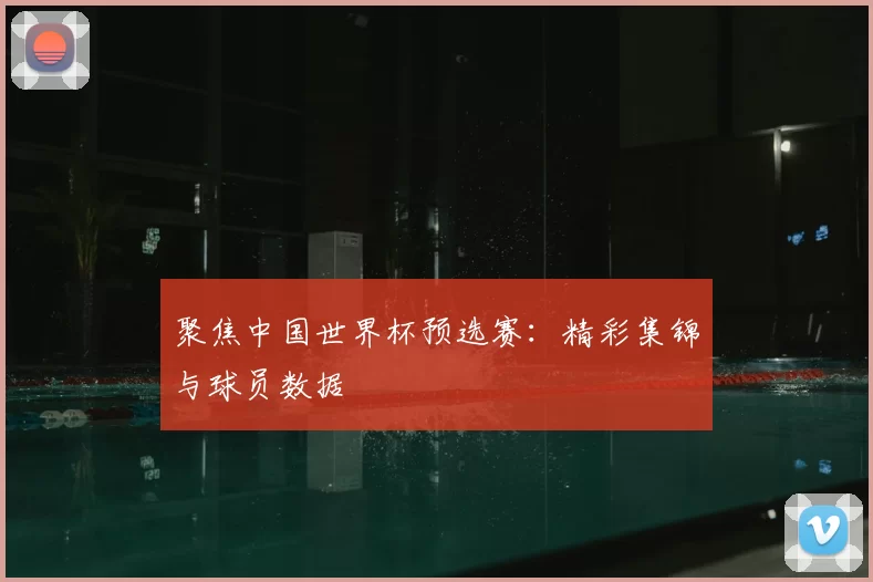 聚焦中国世界杯预选赛:精彩集锦与球员数据