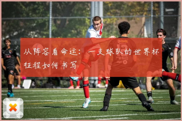 从阵容看命运:一支球队的世界杯征程如何书写