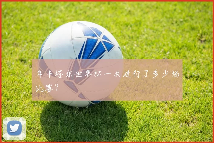 年卡塔尔世界杯一共进行了多少场比赛?