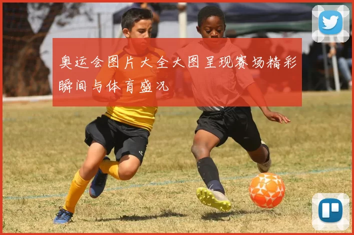 奥运会图片大全大图呈现赛场精彩瞬间与体育盛况