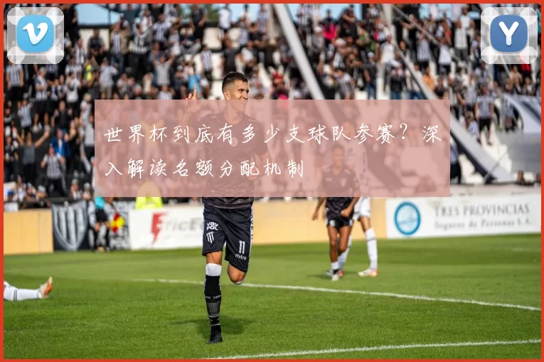 世界杯到底有多少支球队参赛?深入解读名额分配机制