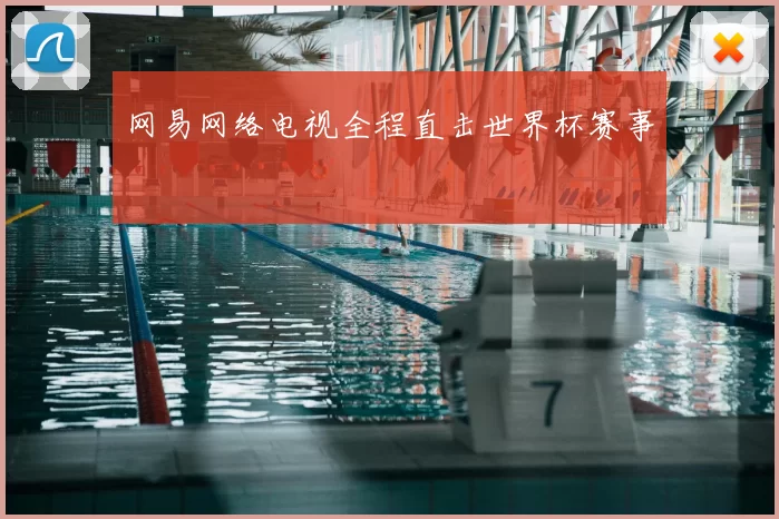 网易网络电视全程直击世界杯赛事